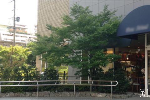 Green Garden 田頭茶舗 外観　BEFORE