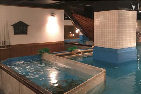 ざうお 難波本店 内観　AFTER