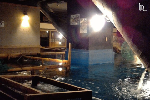 ざうお 難波本店　内観　BEFORE