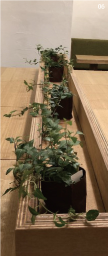 06 >nana's green tea　店舗写真