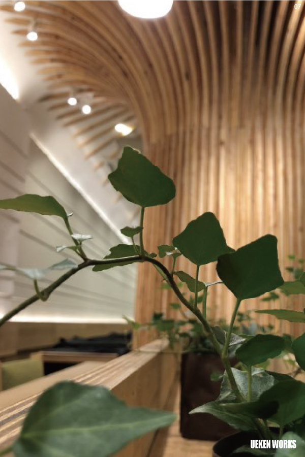 07 >nana's green tea　店舗写真